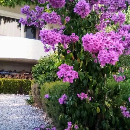 With A Parking Space - 22490 Apartment *