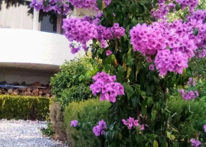 With Parking Space - 22490 Apartment *